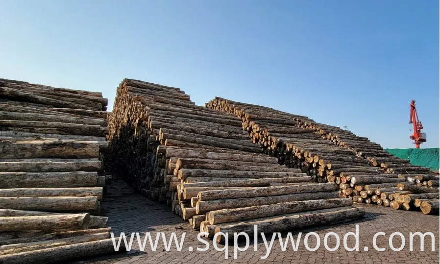 Shuttering/Marine Plywood, Construction Waterproof Film Faced Plywood for Building